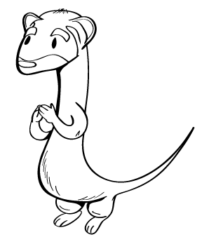 ferret